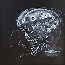 Signaturen 2008 - 2015