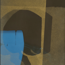 November im Licht 2024,25